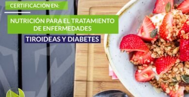 Opinión Nutrición para el tratamiento de enfermedades tiroideas y diabetes