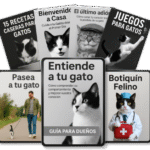 Entiende a tu gato: Opinión Guía práctica para mejorar la relación con tu felino