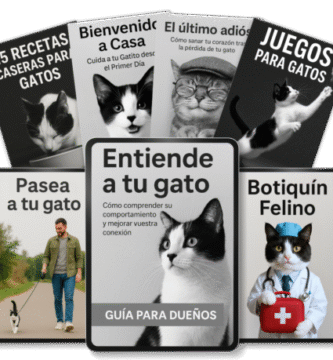 Entiende a tu gato: Opinión Guía práctica para mejorar la relación con tu felino