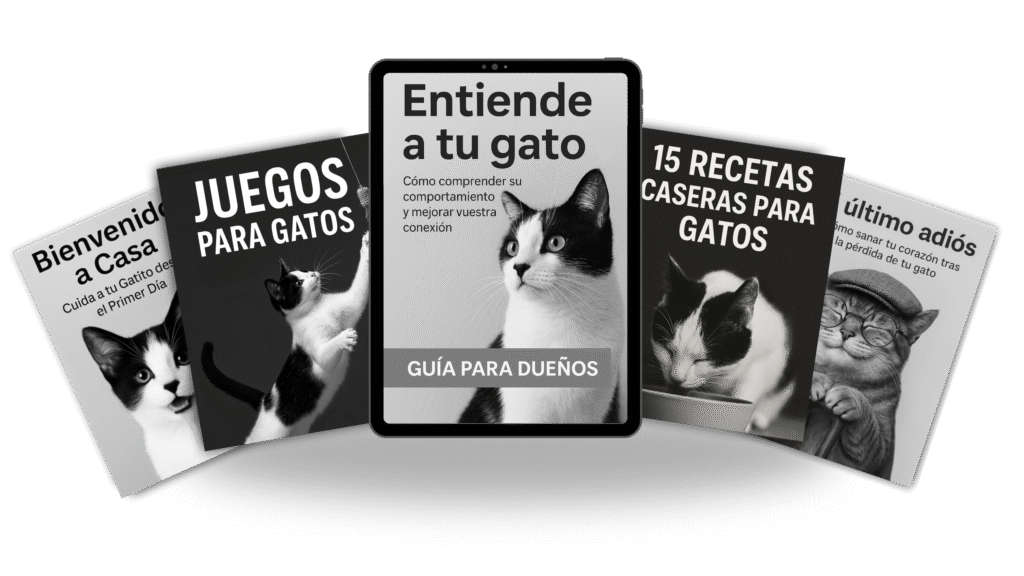 Entiende a tu gato: Guía práctica para mejorar la relación con tu felino