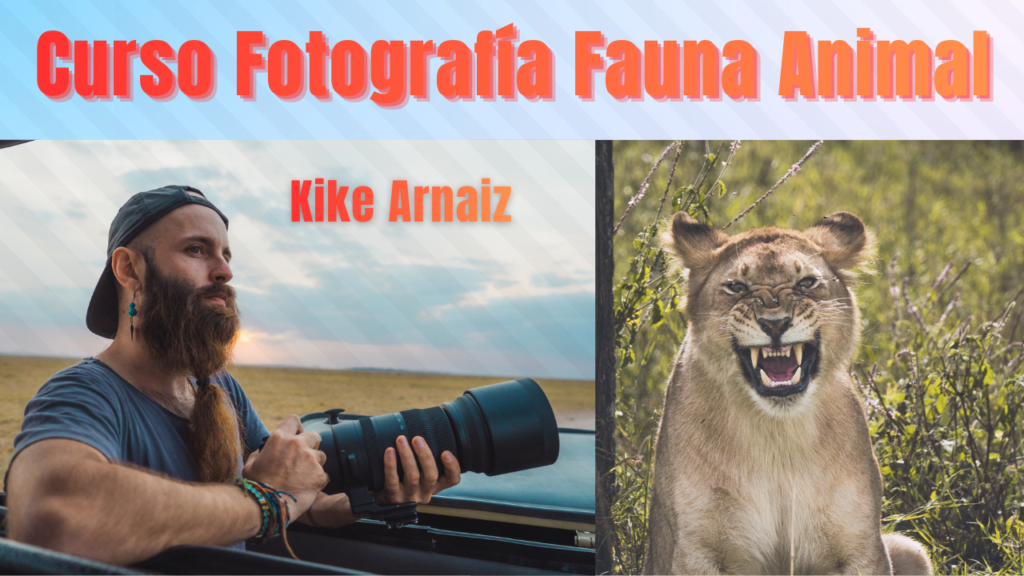Curso Fotografía Fauna Animal