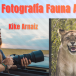 Curso Fotografía Fauna Animal