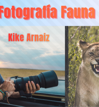 Curso Fotografía Fauna Animal