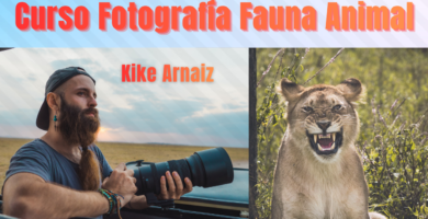 Curso Fotografía Fauna Animal