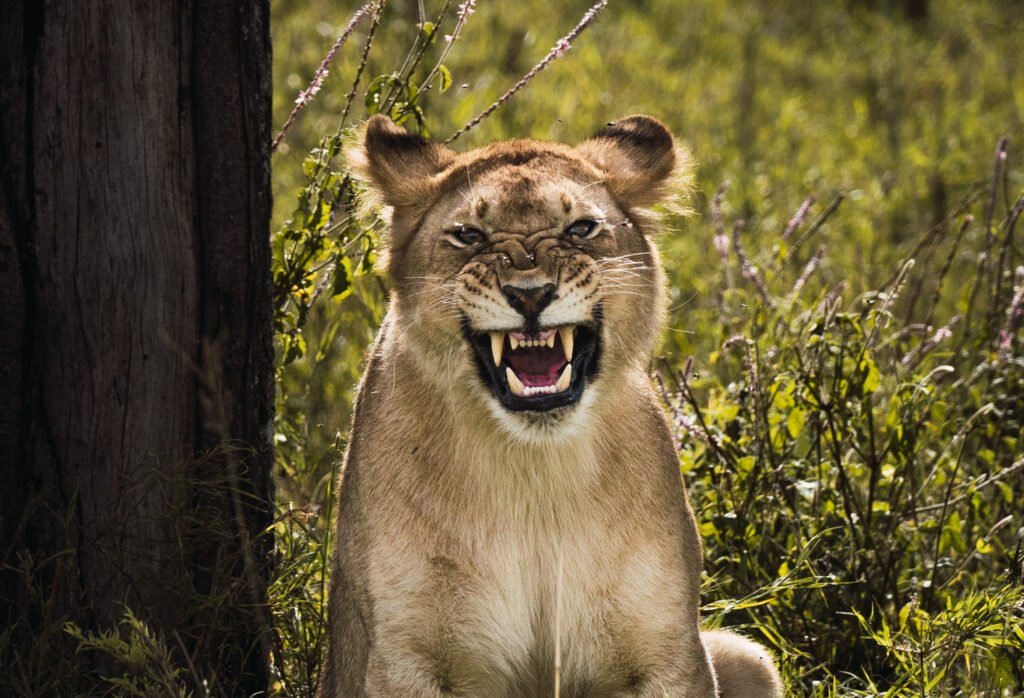 Kike_Arnaiz_fotografia_1