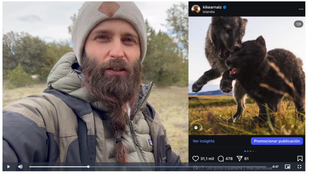 urso de Fotografía de Fauna de Kike Arnaiz