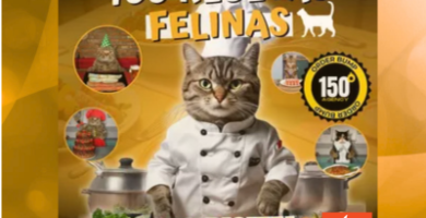 100 recetas felinas saludables
