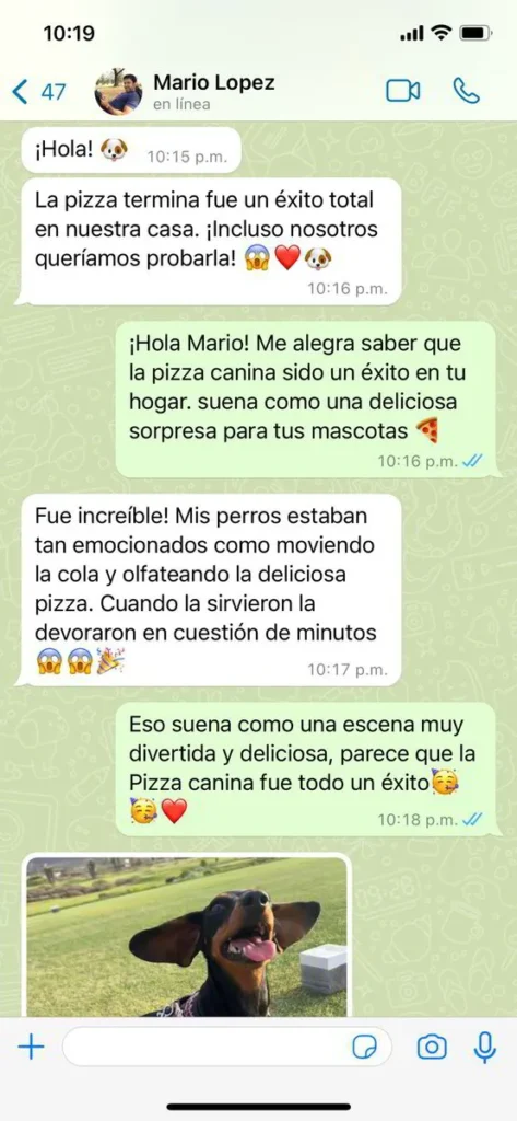 Guía recetas saludables para mascotas
