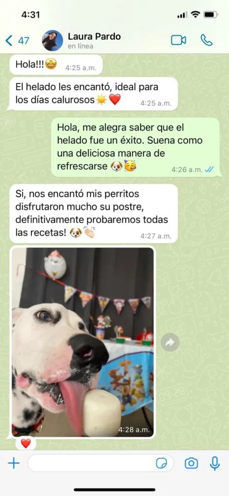 Guía recetas saludables para mascotas