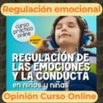 curso regulación emocional niños