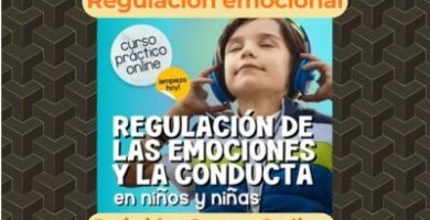 curso regulación emocional niños