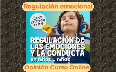 curso regulación emocional niños